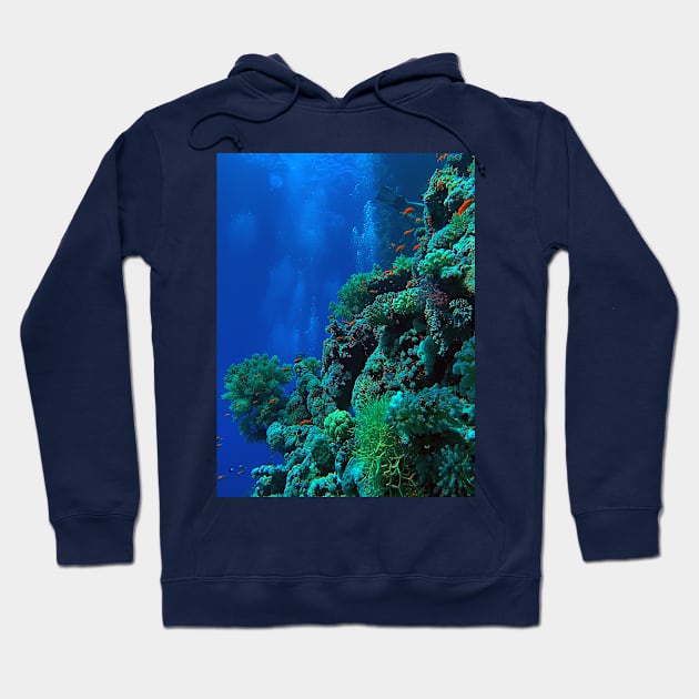 Red Sea Coral Reef Hoodie by likbatonboot